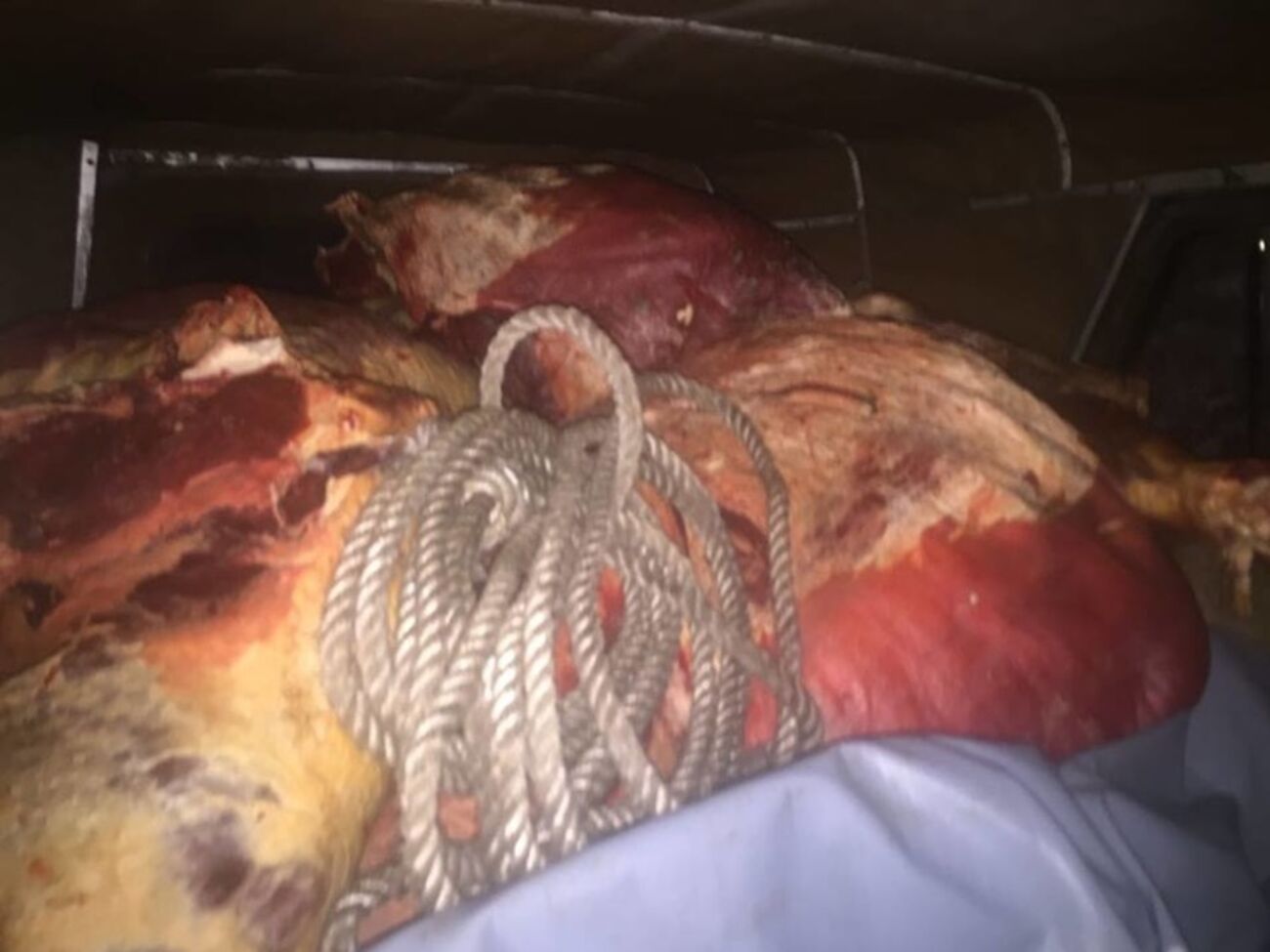 По данным СБУ, на оккупированные территории пытались провезти 5 тонн мяса