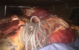 По данным СБУ, на оккупированные территории пытались провезти 5 тонн мяса