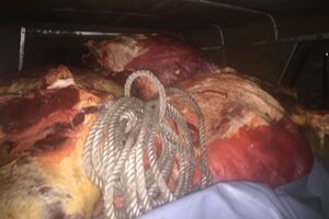 По данным СБУ, на оккупированные территории пытались провезти 5 тонн мяса