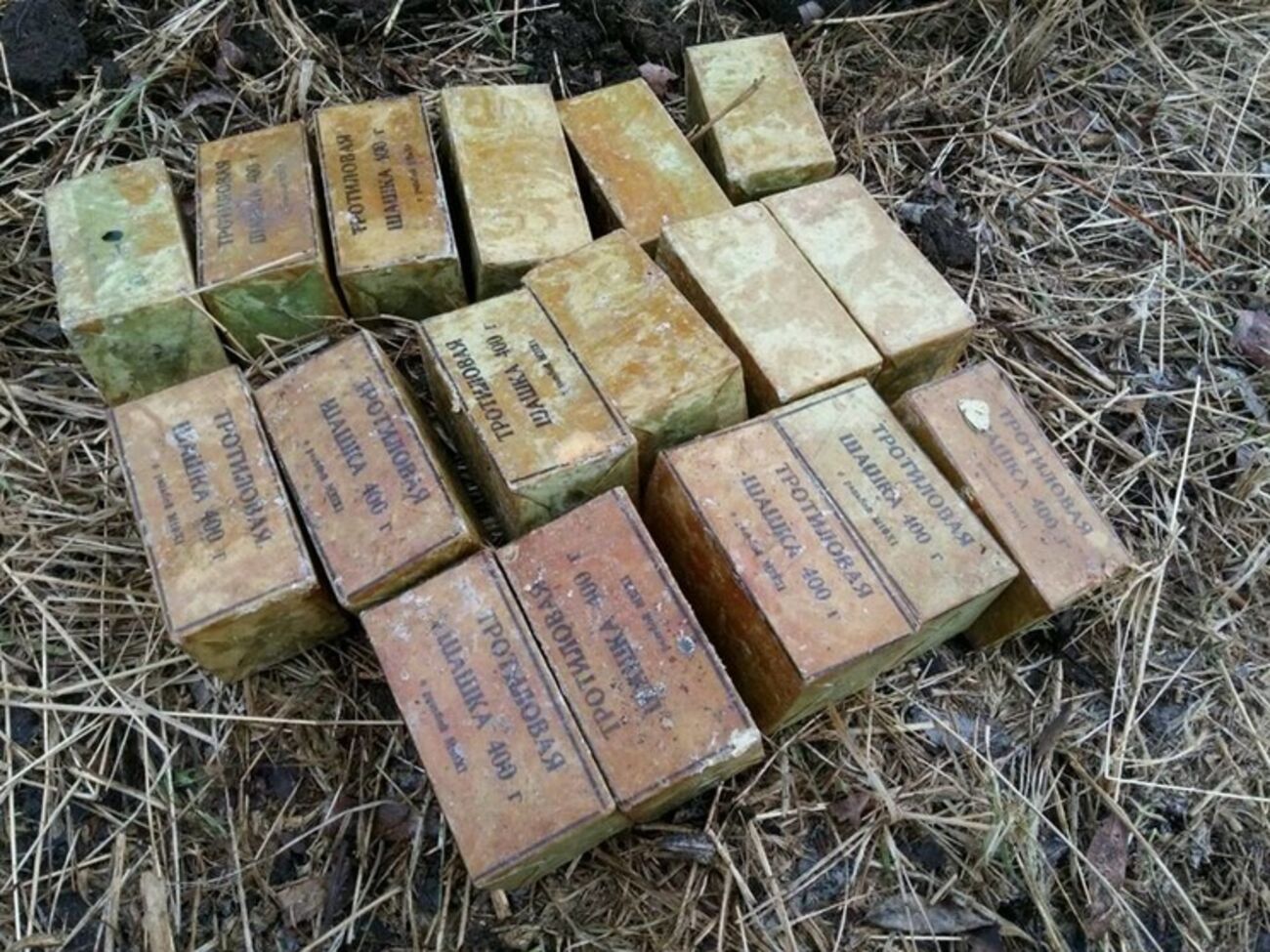 СБУ обнаружила два тайника с 10 кг тротила в районе АТО. Фоторепортаж