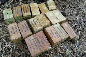 СБУ обнаружила два тайника с 10 кг тротила в районе АТО. Фоторепортаж