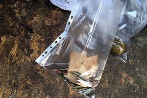 По словам сирийца, гранату и патроны он нашел около своей дачи