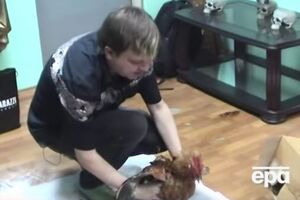 Симаков принес в жертву петуха и окропил его кровью куклу вуду и православный погребальный покров