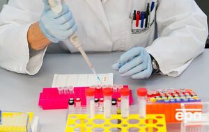 В Китае медики выделили два штамма вируса Зика из образцов крови и мочи двух пациентов