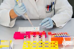 В Китае медики выделили два штамма вируса Зика из образцов крови и мочи двух пациентов