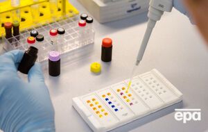 Во Франции зарегистрировали первый случай заражения вирусом Зика через сексуальный контакт