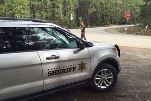 Власти штата Вашингтон не подтверждали российского происхождения убитых подростков