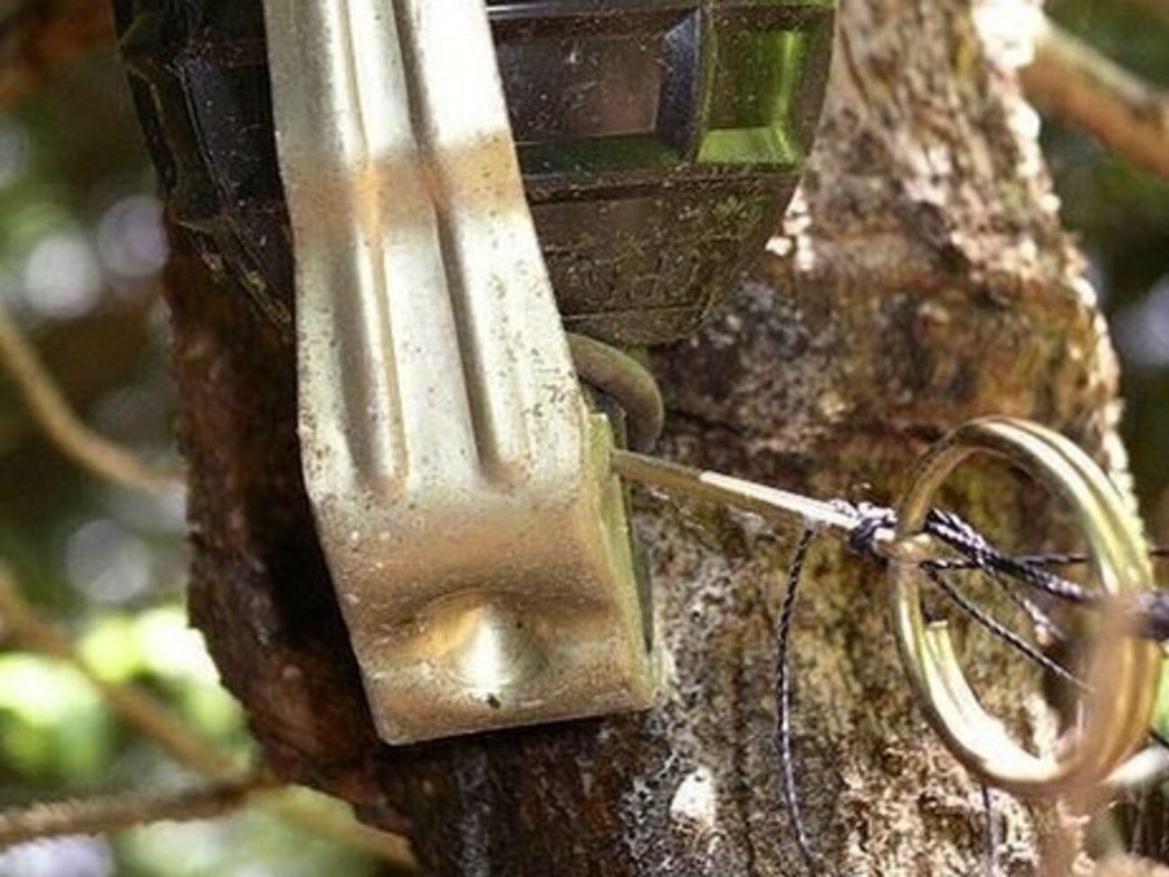 Пятеро военнослужащих подорвались на растяжке