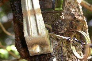 Пятеро военнослужащих подорвались на растяжке