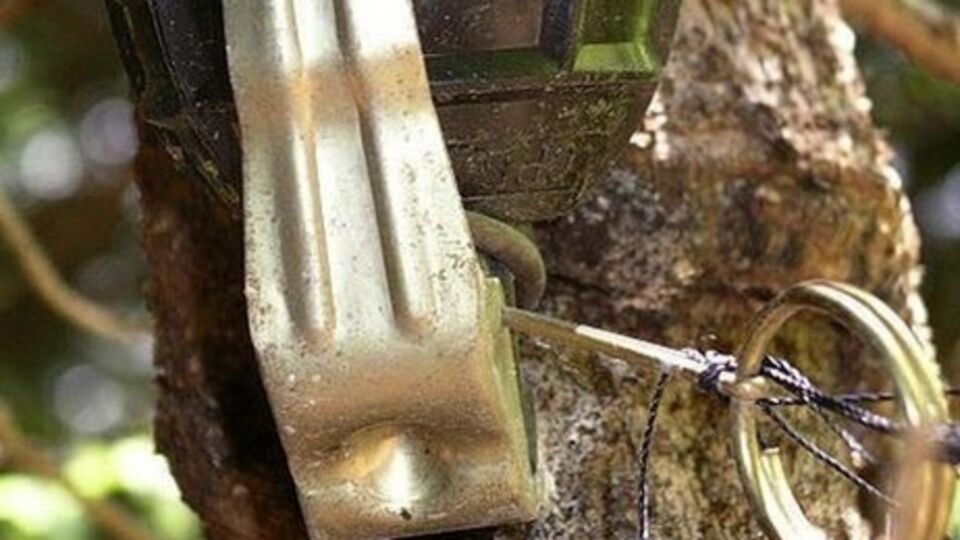 Пятеро военнослужащих подорвались на растяжке