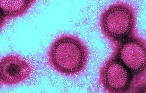 С начала эпидсезона по состоянию на 5 февраля в Киеве от осложнений от гриппа умер 41 человек