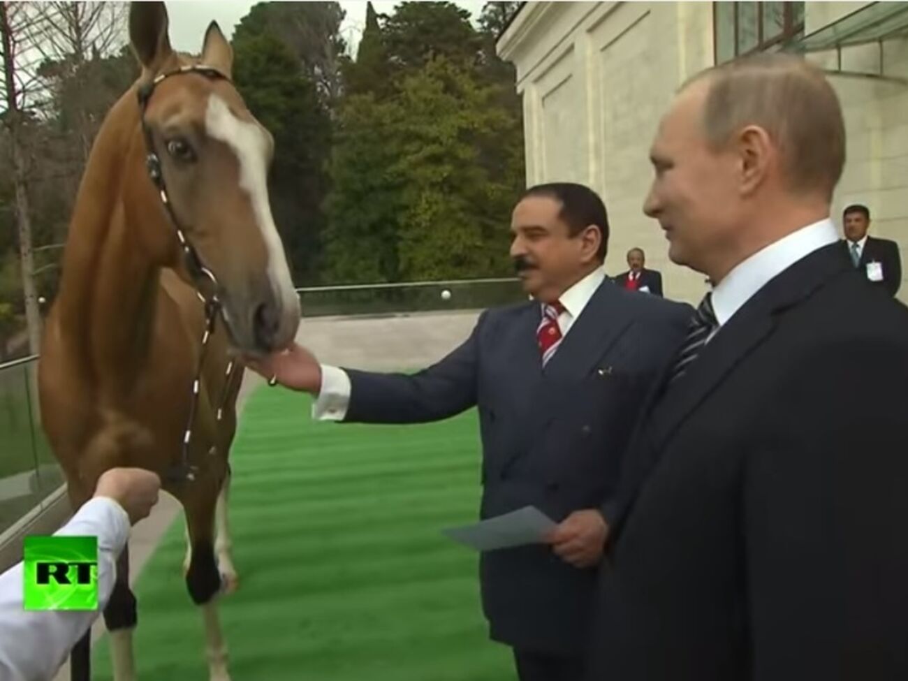 Путин подарил королю Бахрейна скакуна