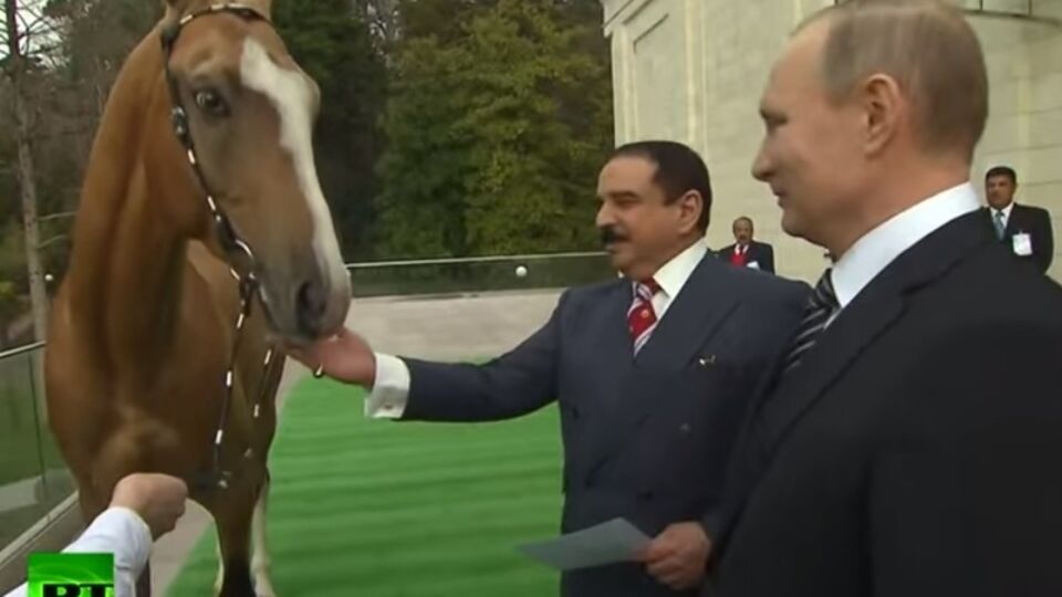 Путин подарил королю Бахрейна скакуна