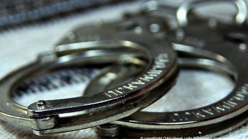 Пограничники в аэропорту Борисполь задержали мошенника из Израиля