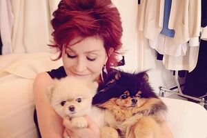 Шерон Осборн: Ким Кардашян, ты вдохновила меня!