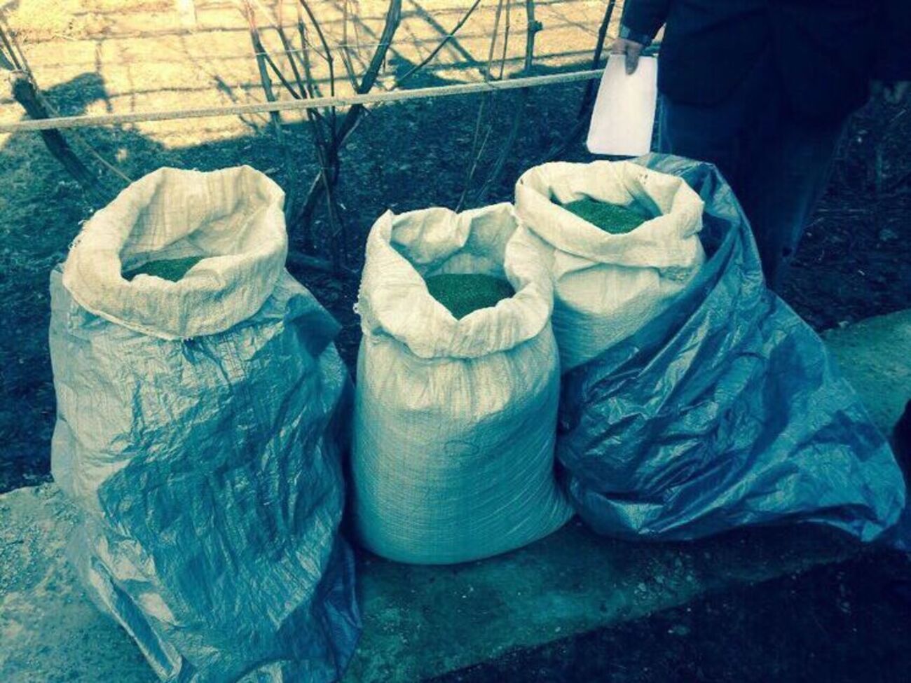 Полицейские также обнаружили у мужчины пистолет