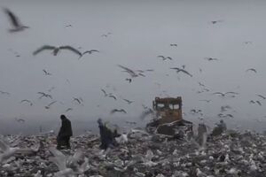 Нардепы на свалке: Мы требуем посвятить рассмотрению эковопросов один день уже на следующей неделе. Видео