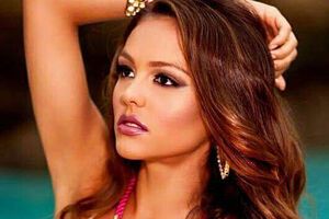 Виновница скандала отказалась комментировать инцидент