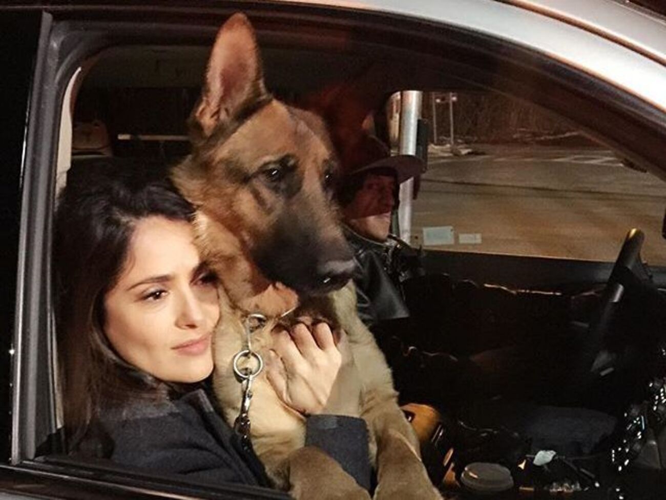 Хайек: Моцарт не заслуживает медленной и мучительной смерти