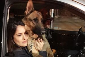 Хайек: Моцарт не заслуживает медленной и мучительной смерти