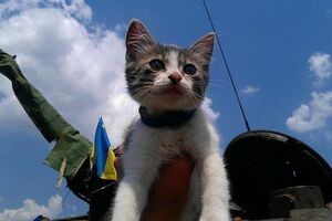Настоящие друзья и помощники украинских бойцов на передовой