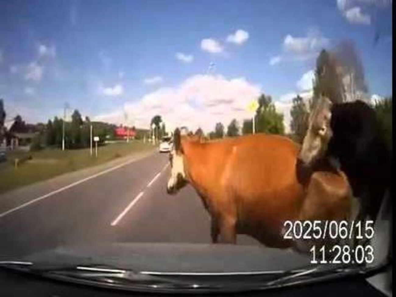 Все участники ДТП остались живы