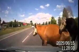 Все участники ДТП остались живы