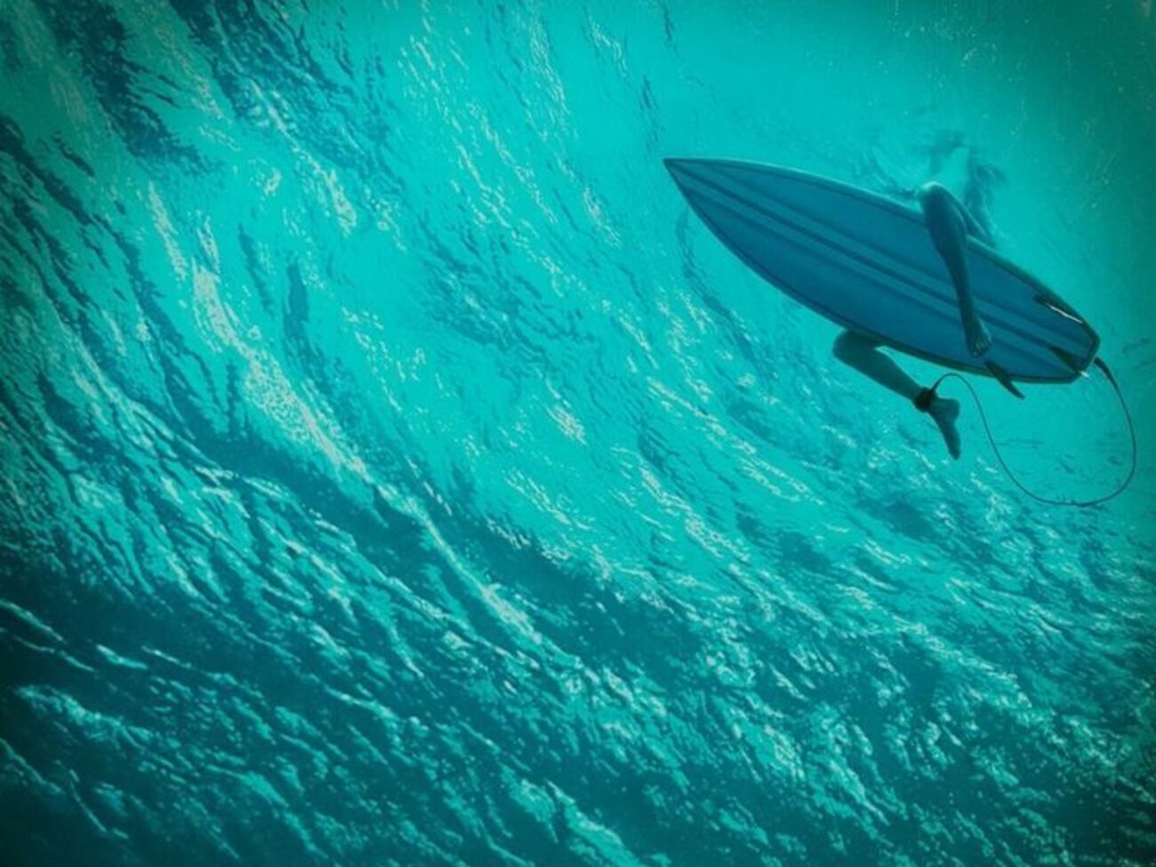 Героиня фильма останется один на один с природой и хищником