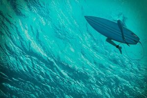 Героиня фильма останется один на один с природой и хищником