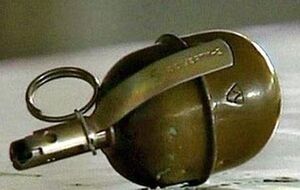 Неизвестный бросил гранату в здание администрации Максатихинского района Тверской области РФ