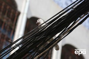 Из-за кражи кабеля в горизбиркоме Кривого Рога отсутствует интернет