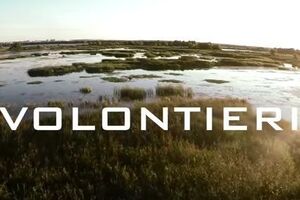 Фильм "Волонтеры" рассказывает о людях, которые помогают солдатам в зоне АТО на востоке Украины