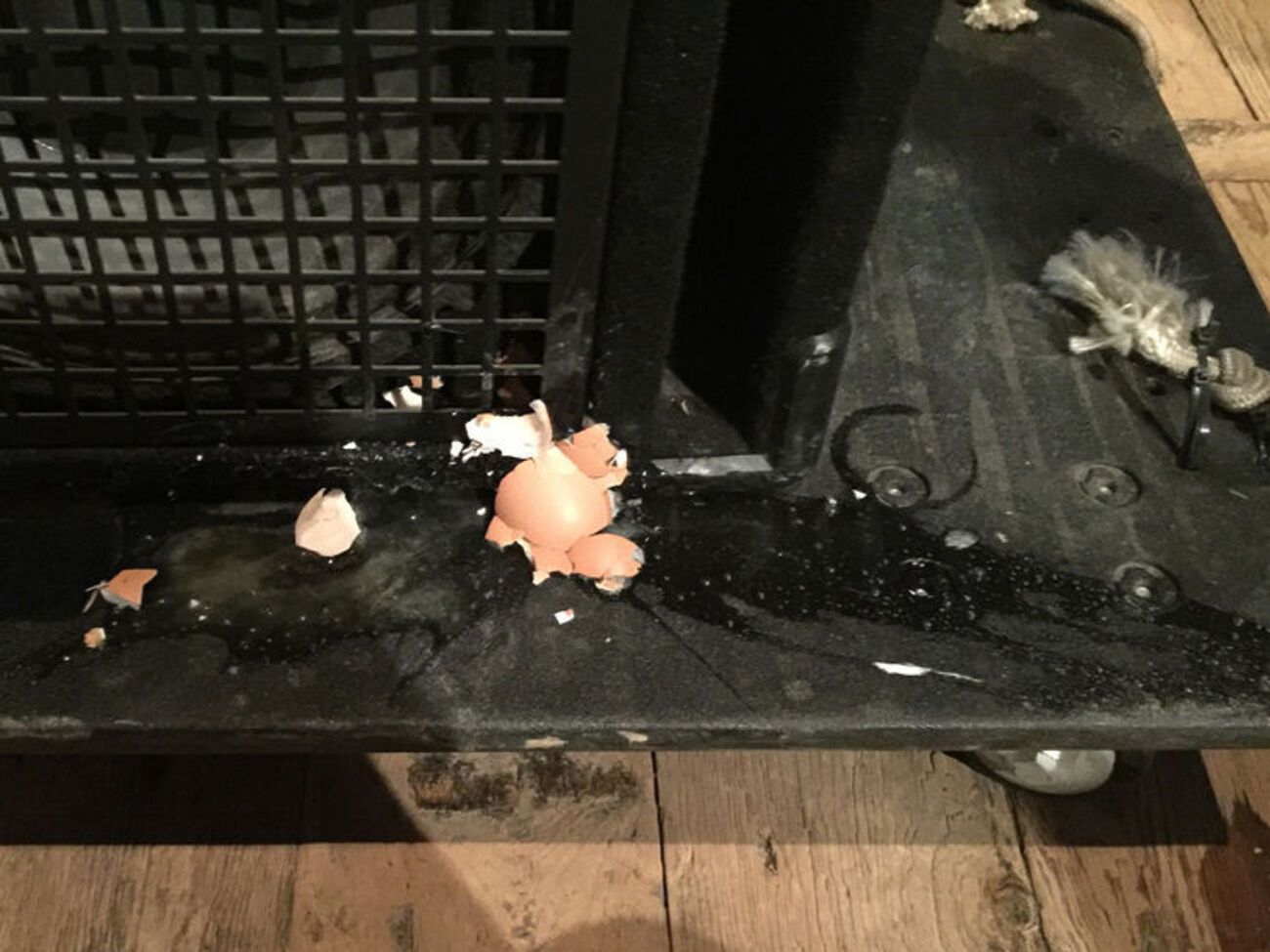 В Крыму забросали яйцами российских рок-музыкантов