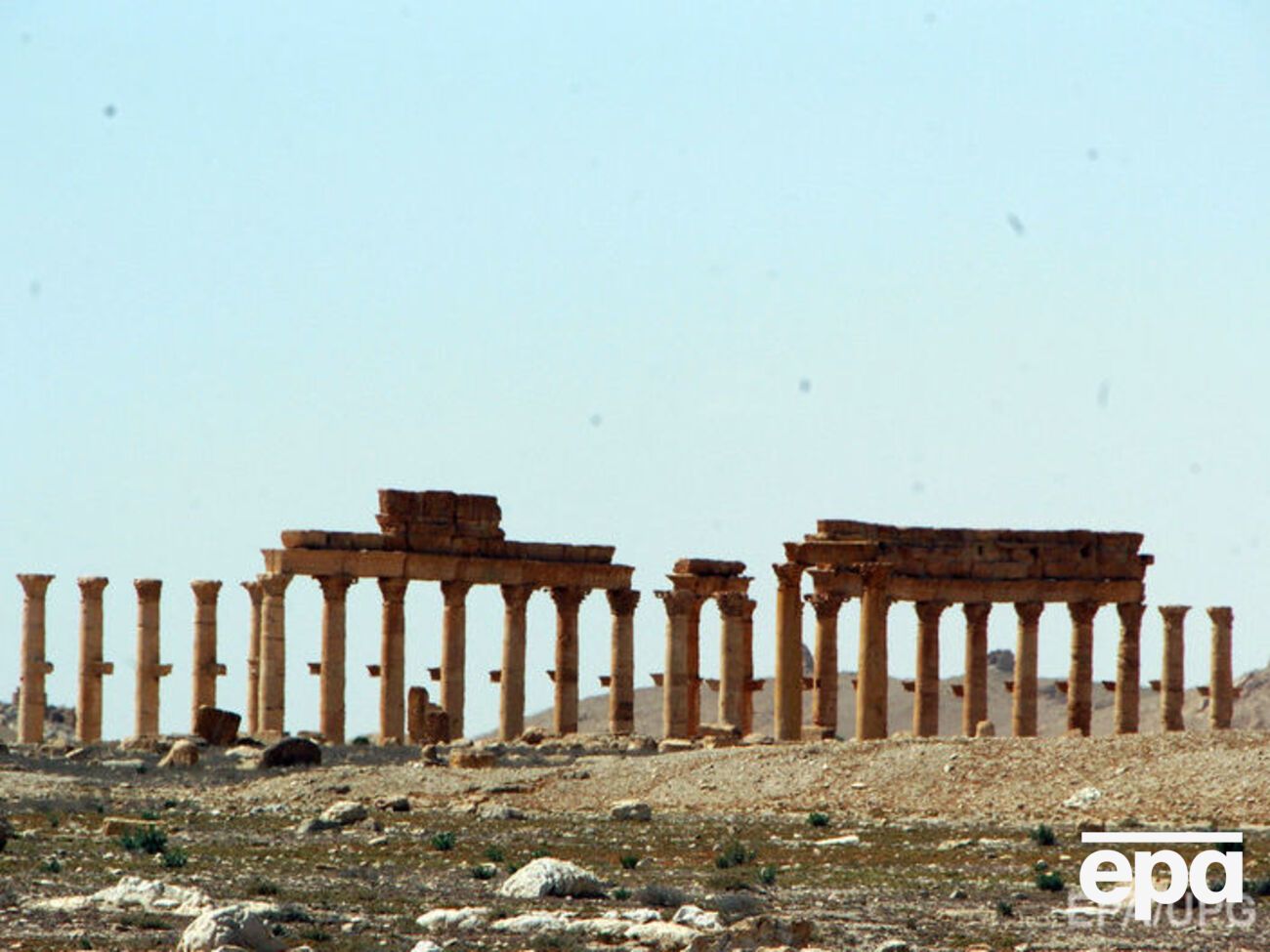 The Independent: Лидеры США и Британии не отреагировали на освобождение Пальмиры