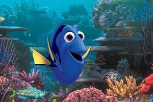 Рыбка Дори попытается найти свою семью