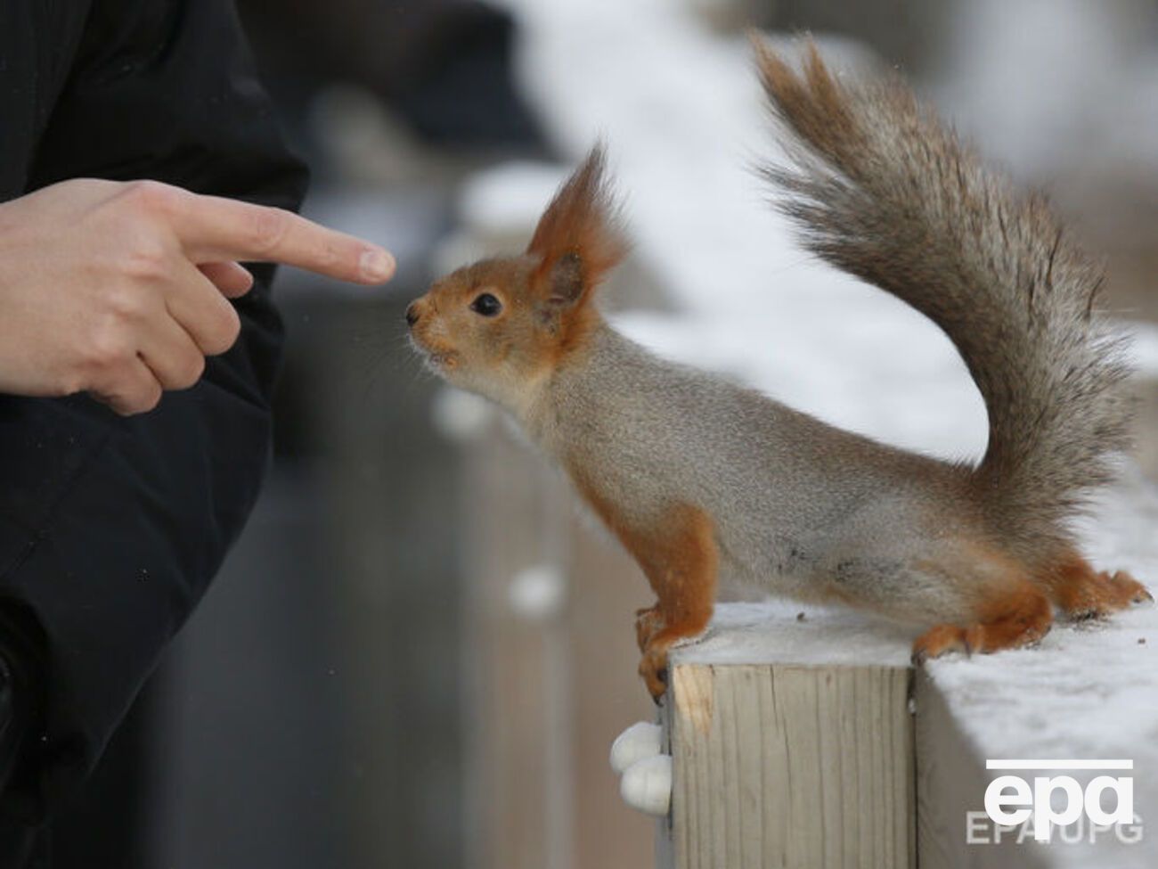Самым теплым днем этой зимой в Киеве стало&nbsp;23 февраля
