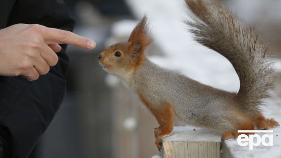 Самым теплым днем этой зимой в Киеве стало 23 февраля