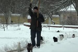 Кошачий "крестный ход" в Предтеченском скиту проходит ежедневно
