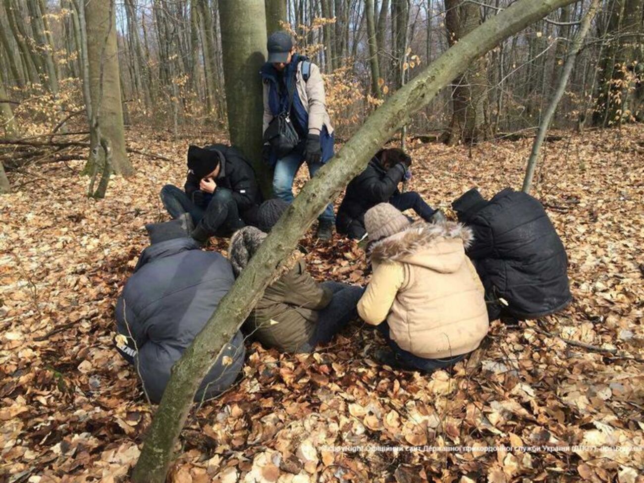 Семь задержанных оказались вьетнамцами, двое &ndash;&nbsp;сирийцами
