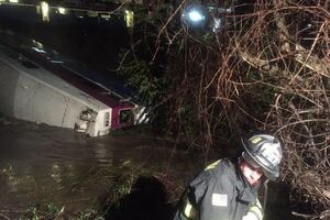 Поезд сошел с рельсов из-за упавшего на пути дерева