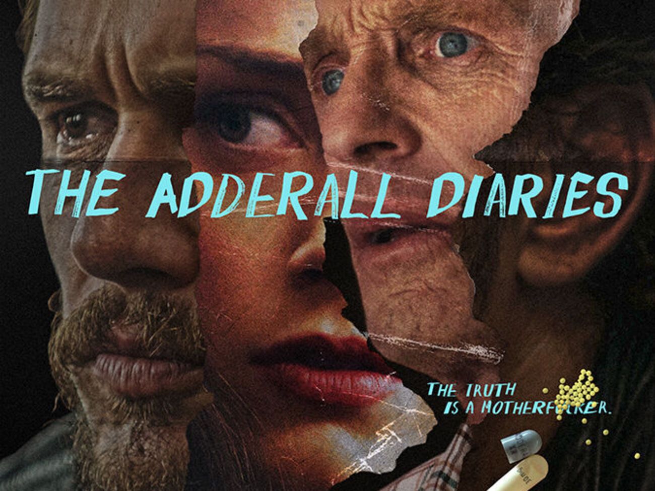 Главные роли в фильме исполнили Эмбер Херд Депп, Джеймс Франко, Эд Харрис