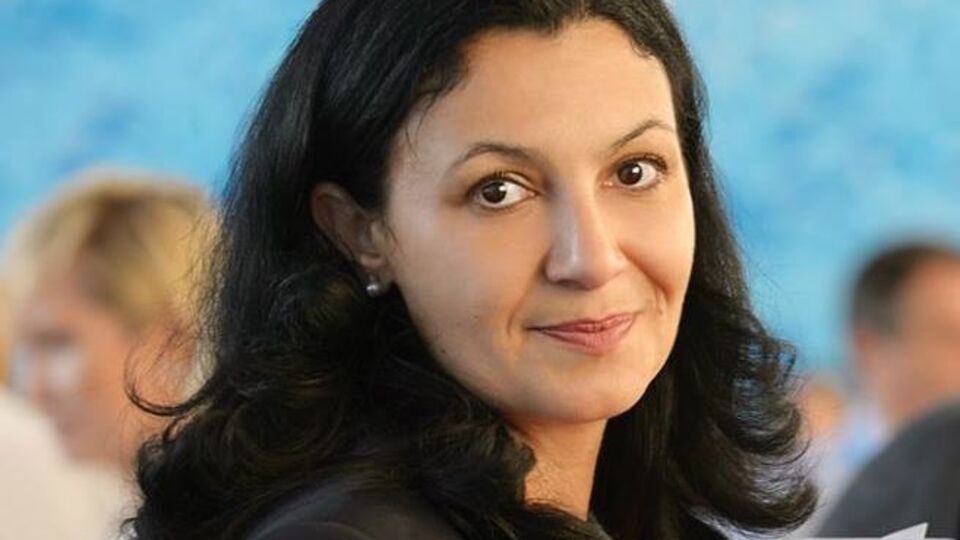 Климпуш-Цинцадзе назвала законопроект о спецконфискации "крупнейшей рейдерской схемой в истории страны"