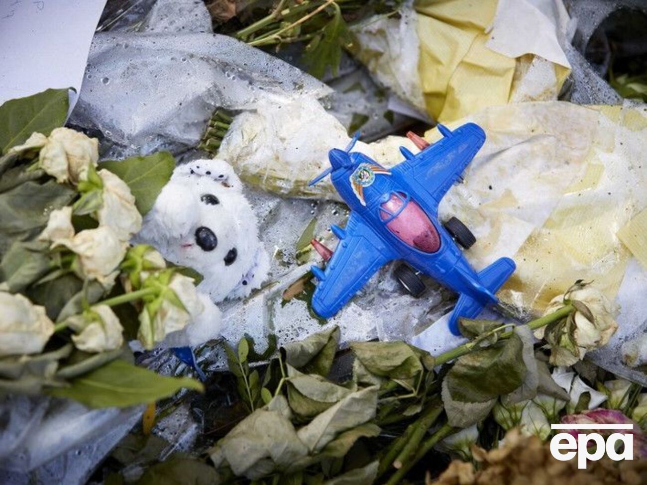 Малайзийский самолет сбили в Донецкой области в июле 2014 года