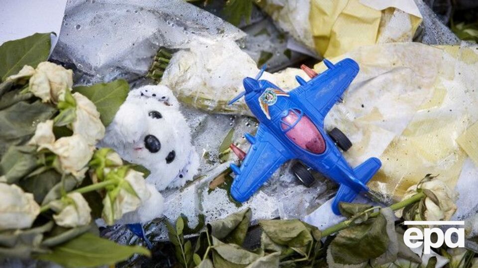 Малайзийский самолет сбили в Донецкой области в июле 2014 года