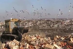 Яблоки были уничтожены на полигоне твердых бытовых отходов в Туле