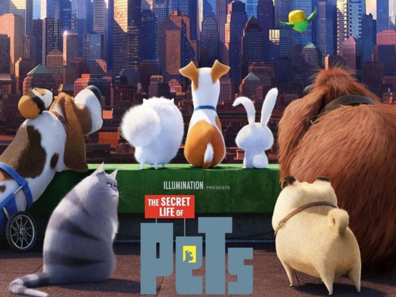 Герои "Тайная жизнь домашних животных" живут жизнью, отдельной от своих хозяев