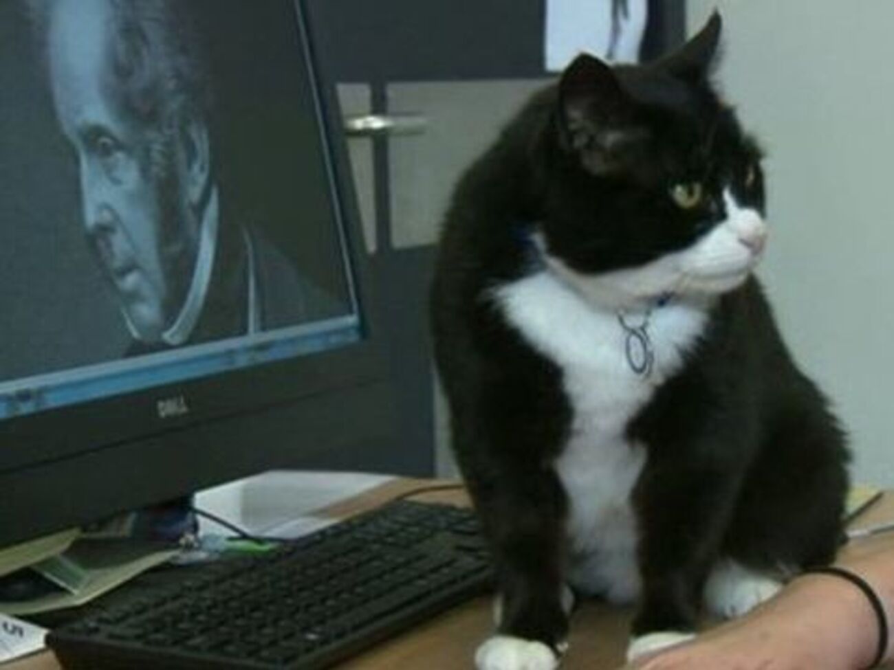 Палмерстон и его тезка