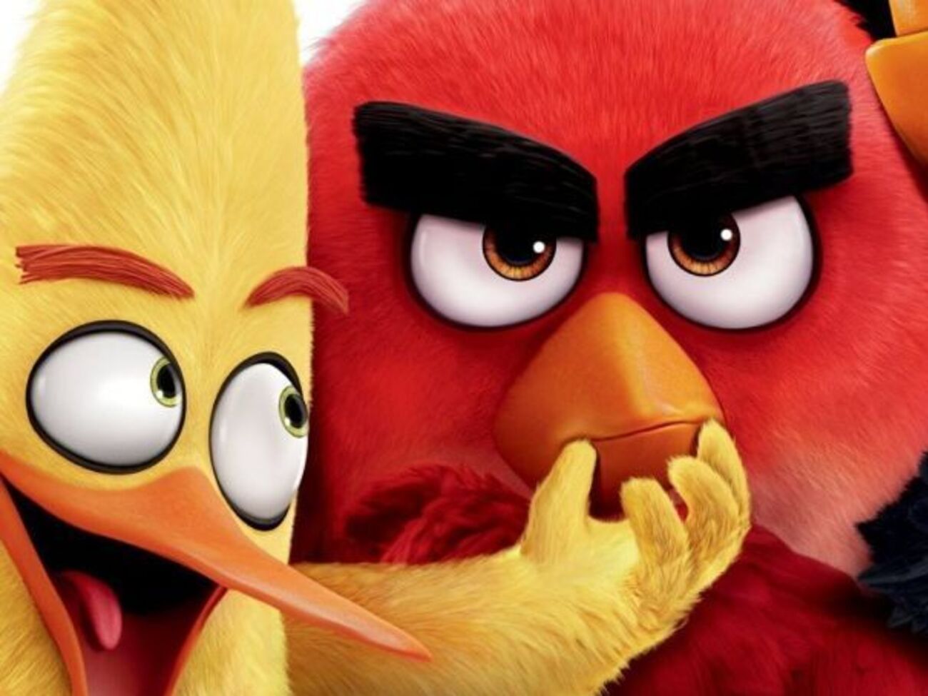 Лента расскажет о зарождении конфликта птичек и свинок