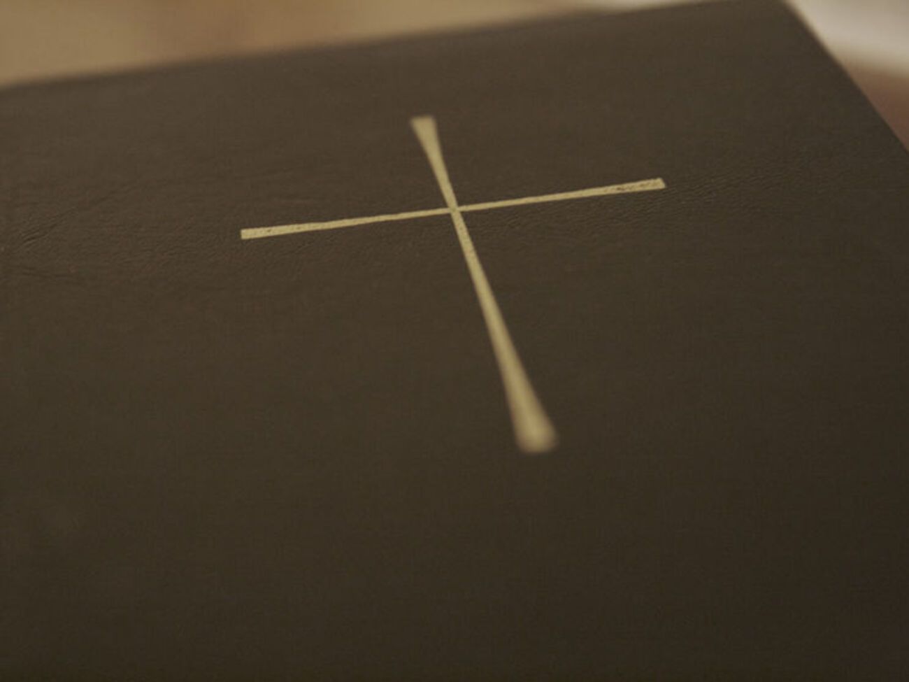 Кроме Библии, в список попали романы "50 оттенков серого" Джеймс и "В поисках Аляски" Грина