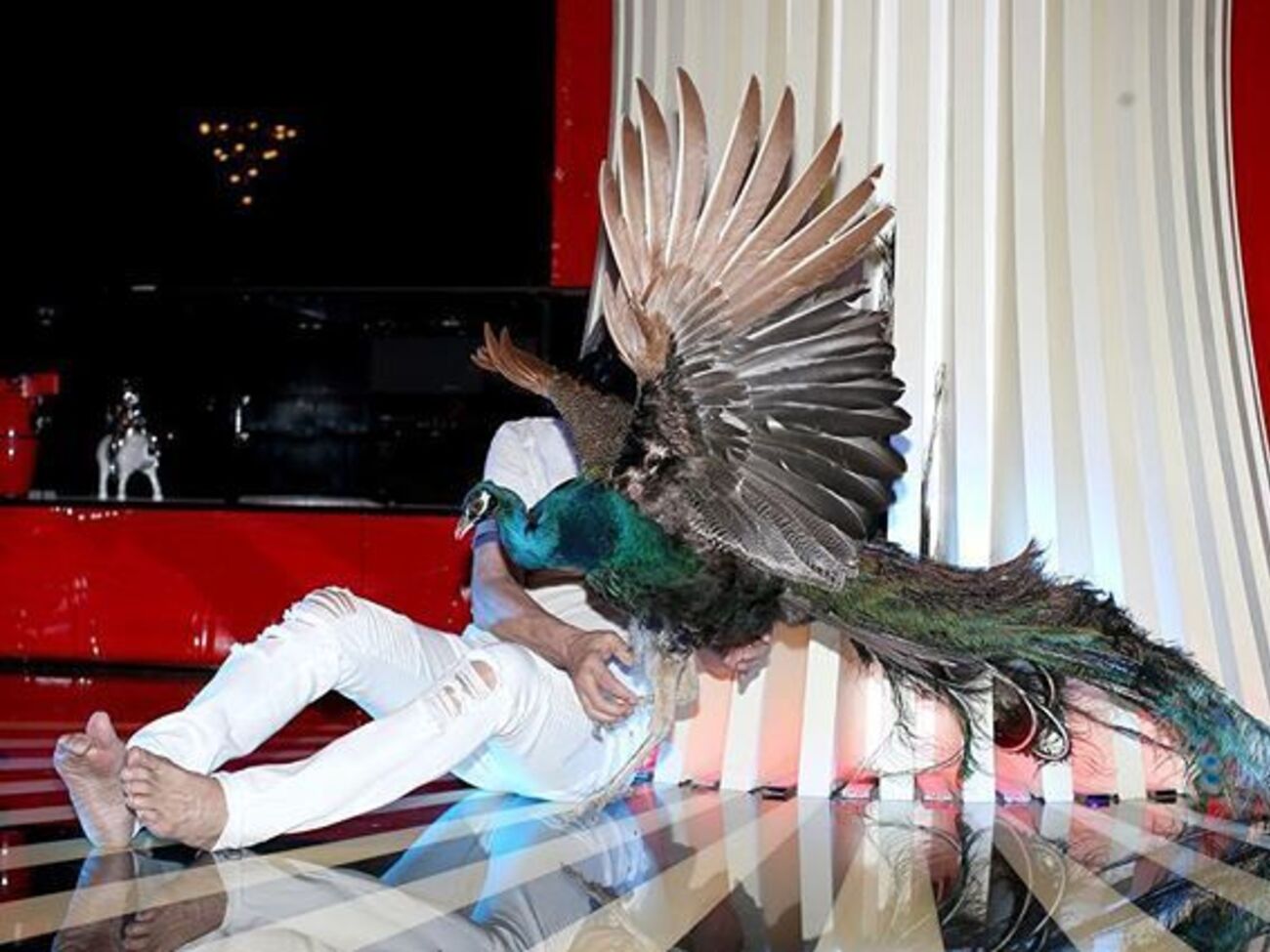 Алибасов:&nbsp;В день рождения великой певицы Аллы решил подарить ей гигантского индийского павлина, чтобы он красиво и гордо украшал двор великолепного замка